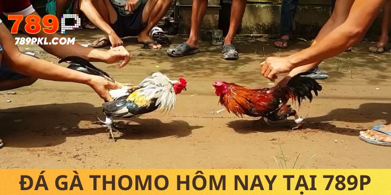 da-ga-thomo-hom-nay-thumbail